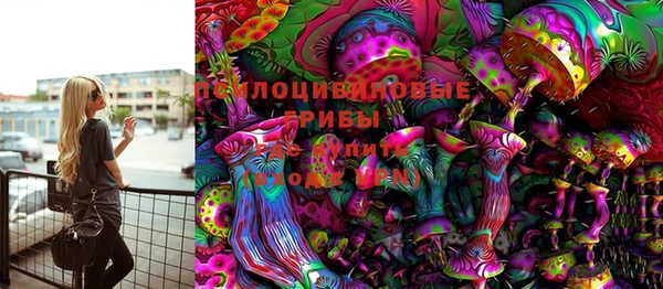 шишки Абаза
