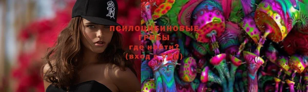 ешки Абинск