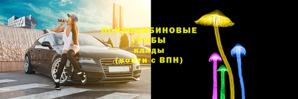 шишки Абаза