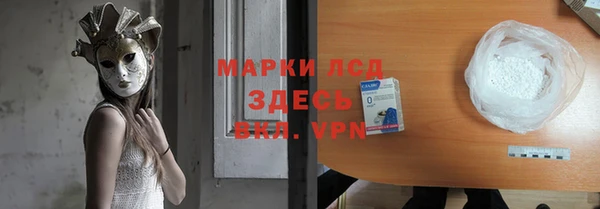 шишки Абаза