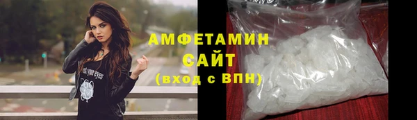 шишки Абаза