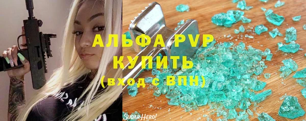 шишки Абаза