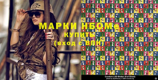 шишки Абаза