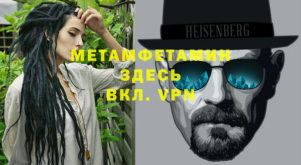 шишки Абаза
