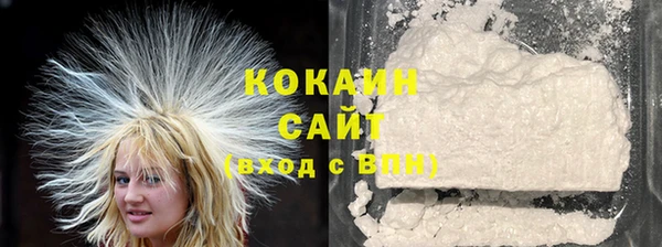 шишки Абаза