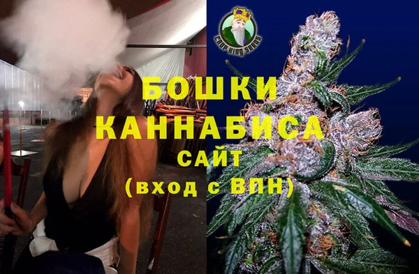 шишки Абаза