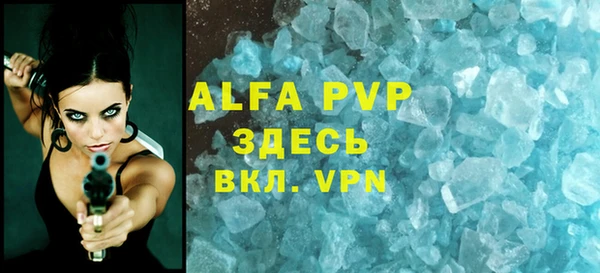 шишки Абаза