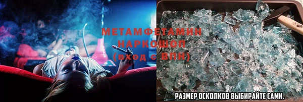 шишки Абаза